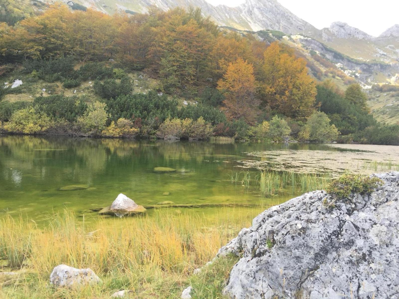 Chalet Kovacevic Žabljak Eksteriør bilde